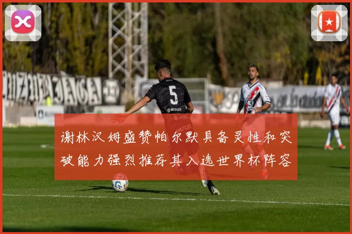 谢林汉姆盛赞帕尔默具备灵性和突破能力强烈推荐其入选世界杯阵容